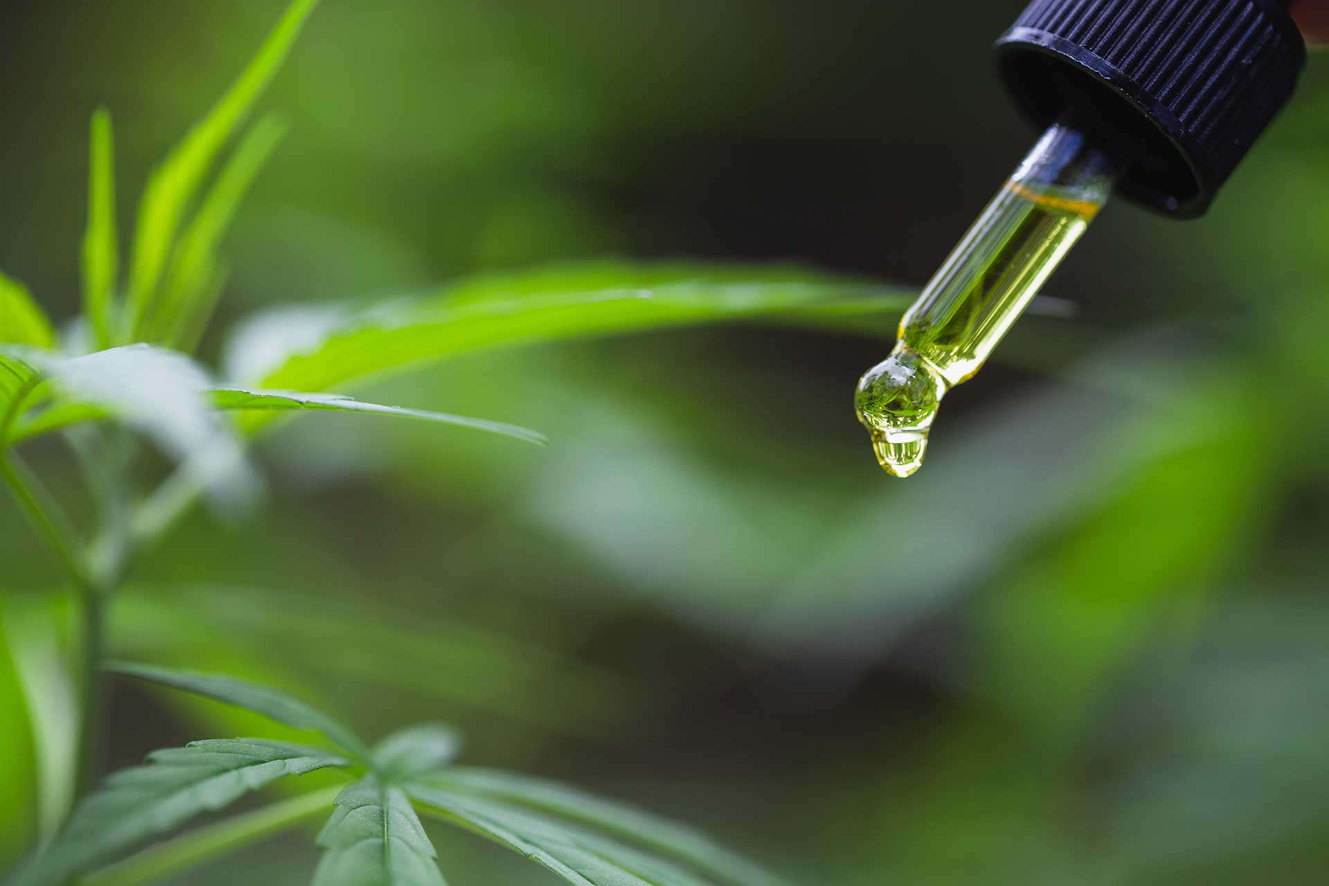 Why is Nanoemulsion the Latest Craze in CBD Products? And Why Should You Care?